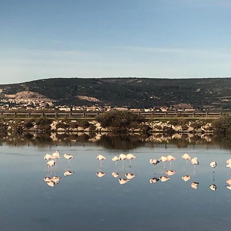 Flamants Roses 1 Pers 6 Frontignan Eksteriør billede